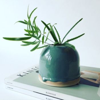 inspiratie