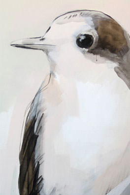 Vogel Liefde